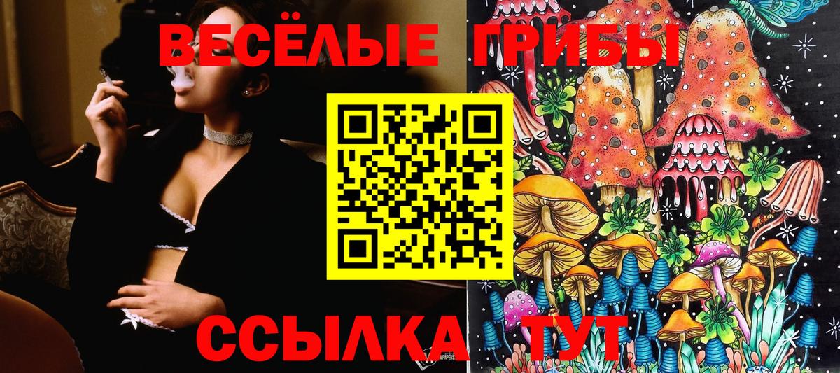 Галлюциногенные грибы GOLDEN TEACHER Мариинск
