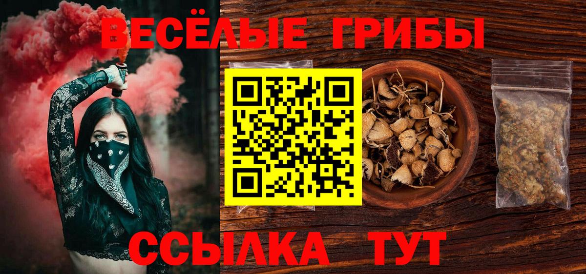 Псилоцибиновые грибы мицелий  хочу наркоту  Мариинск  Вход с VPN 